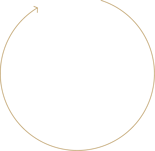 7 step flow circle